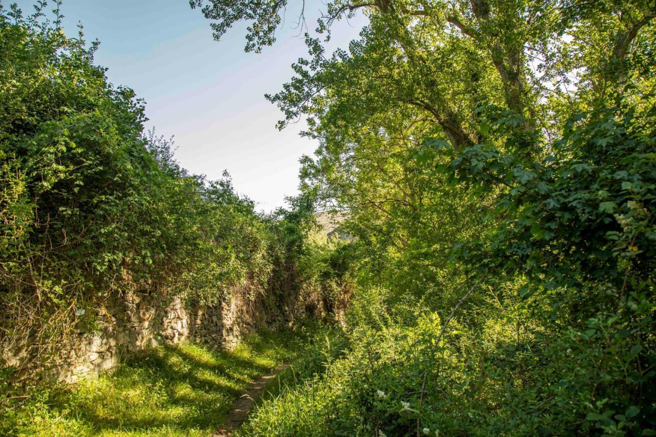 Pensjonat Casa Rural El Huerto De La Fragua Enciso Zewnętrze zdjęcie