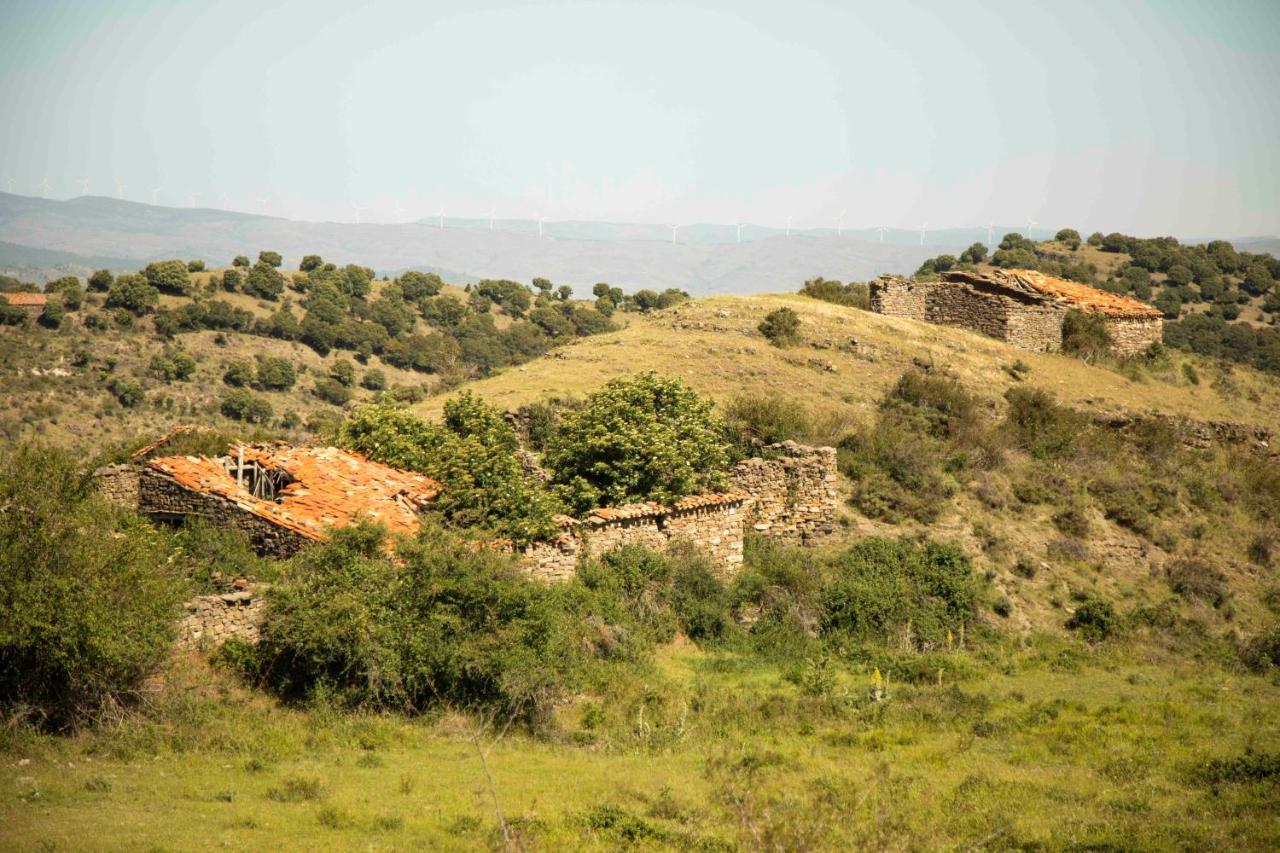 Pensjonat Casa Rural El Huerto De La Fragua Enciso Zewnętrze zdjęcie