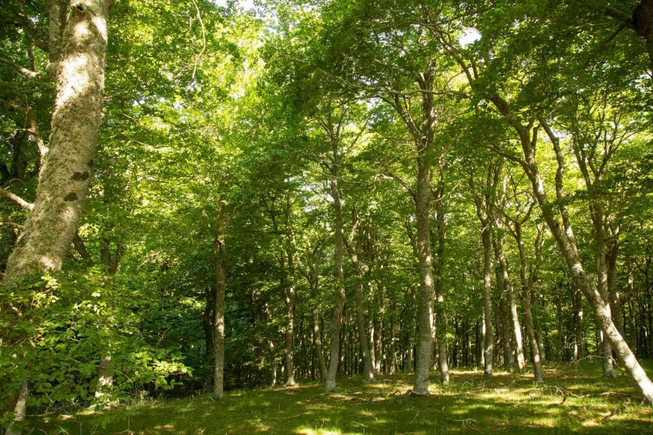 Pensjonat Casa Rural El Huerto De La Fragua Enciso Zewnętrze zdjęcie