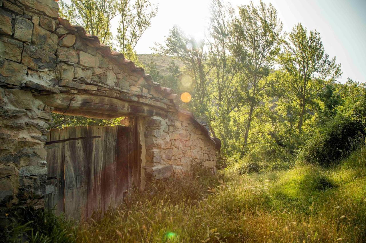 Pensjonat Casa Rural El Huerto De La Fragua Enciso Zewnętrze zdjęcie