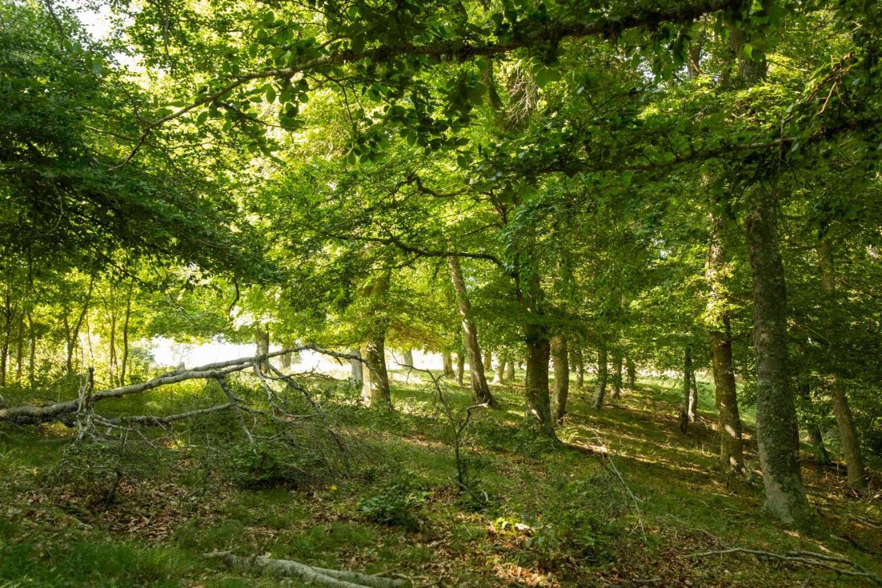 Pensjonat Casa Rural El Huerto De La Fragua Enciso Zewnętrze zdjęcie